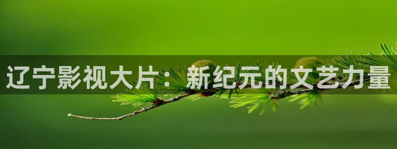 在私人影院：辽宁影视大片：新纪元的文艺力量