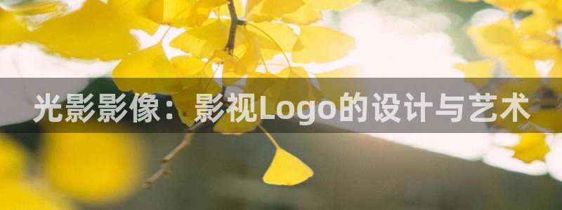 夜久久琪琪私人电影院：光影影像：影视Logo的设计与艺术