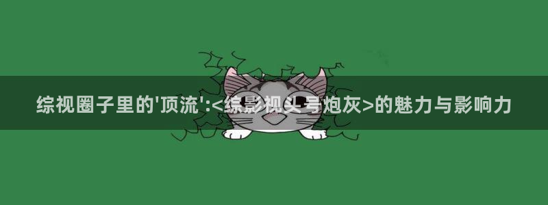 私人影院大约需要多少钱：综视圈子里的\'顶流\':<综影视头号炮灰>的魅力与影响力