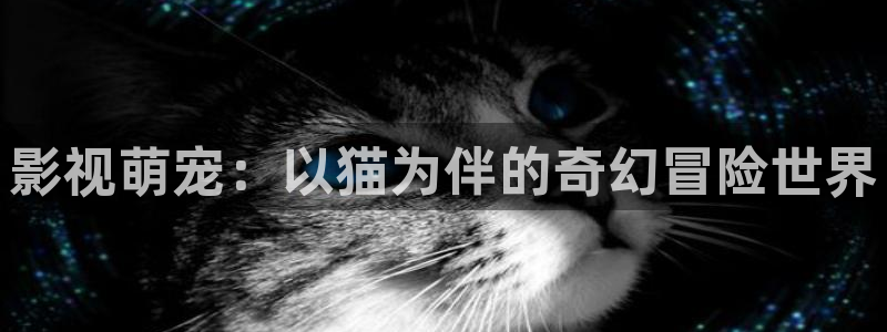 私人影院是啥样的：影视萌宠：以猫为伴的奇幻冒险世界